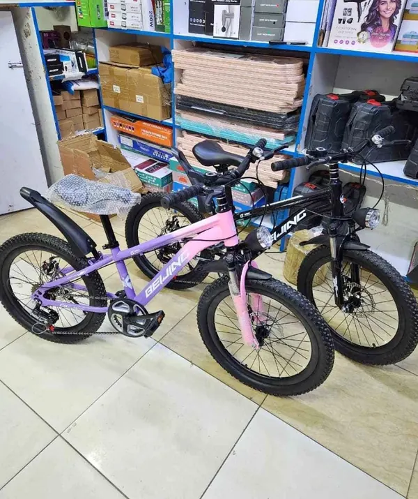 Beijing size 20 mountain bike purple pink