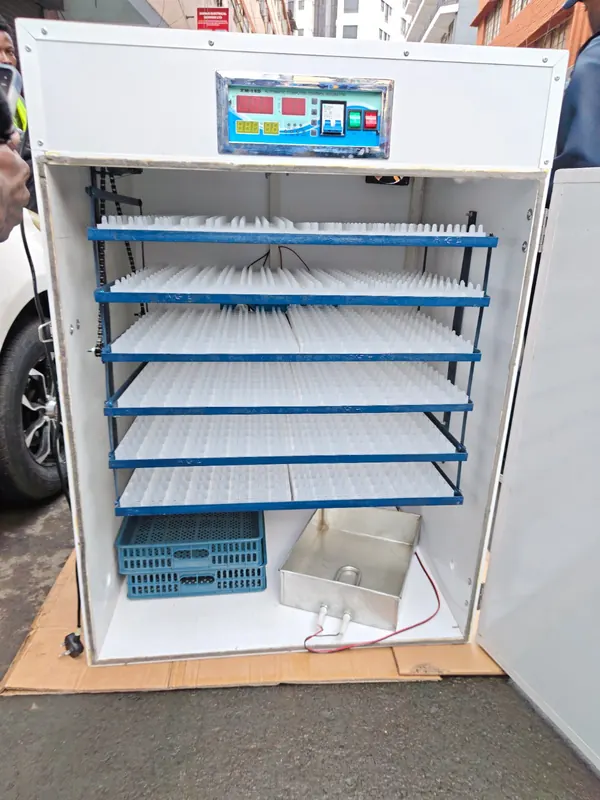 1056 Egg capacity Incubator