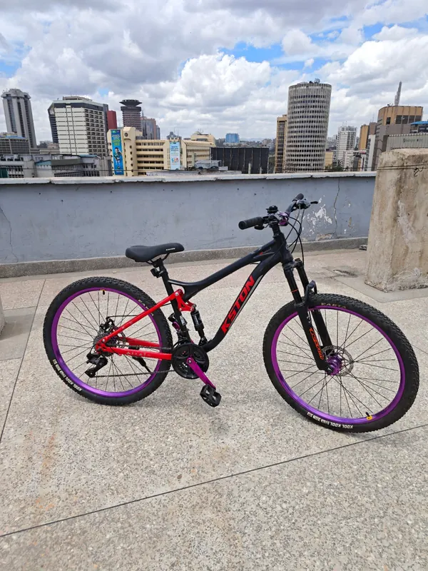 Kston mountain bike on its kickstand on a rooftop