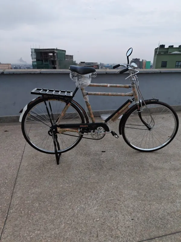 Neelam 28-inch bicycle on its stand on a rooftop