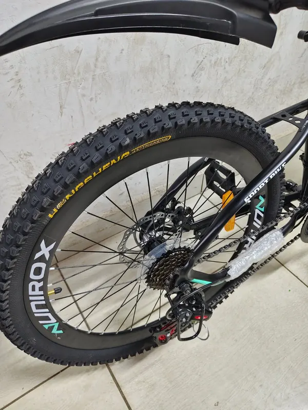 Close-up of the Unirox back wheel, gears and disc brake