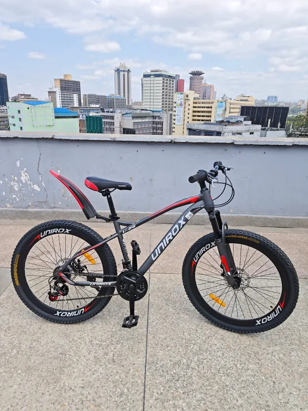Unirox mountain bike in grey with red details, on a rooftop