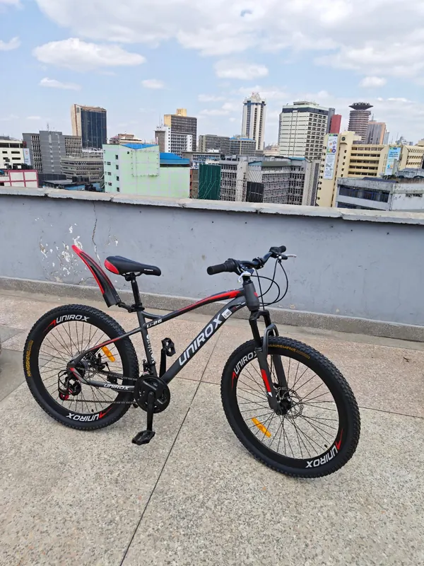 Unirox mountain bike in grey and red, seen from the front